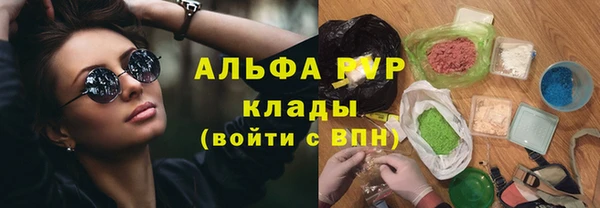 индика Абаза