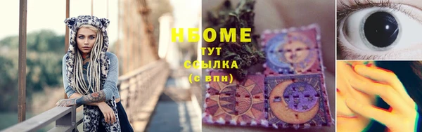 индика Абаза