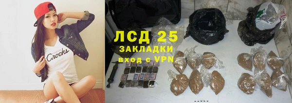 индика Абаза