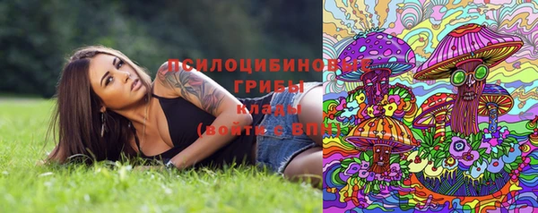 индика Абаза