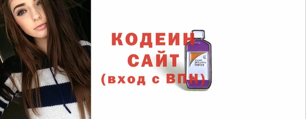 индика Абаза