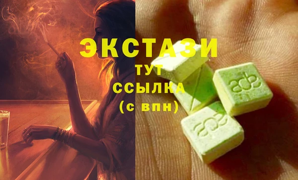 индика Абаза