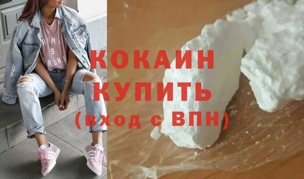 индика Абаза