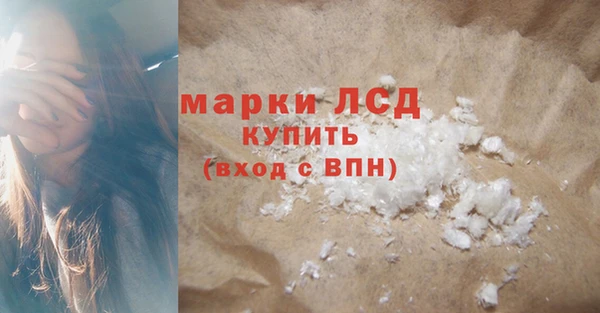 индика Абаза