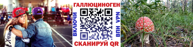 Псилоцибиновые грибы мицелий  закладки  гидра сайт  Сухой Лог 