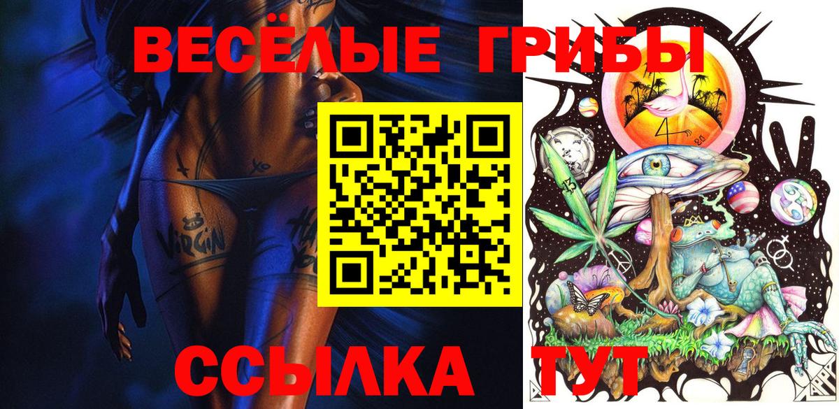 Псилоцибиновые грибы Magic Shrooms  Вход с VPN  Сухой Лог 